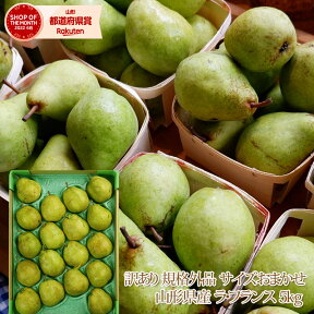 【数量限定】 【送料無料】 訳有り 山形県産「ラ・フランス」約5kg（サイズおまかせ） 【前払い不可】 山形 西洋梨 ラフランス ようなし younasi 産直 自家用 訳有り