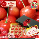 【予約】 早期割引価格 母の日 さくらんぼギフト 生花カーネーション付 フリーメッセージ可 送料無料 山形県産さくらんぼ 佐藤錦 チョコ箱詰め L玉 24粒 化...