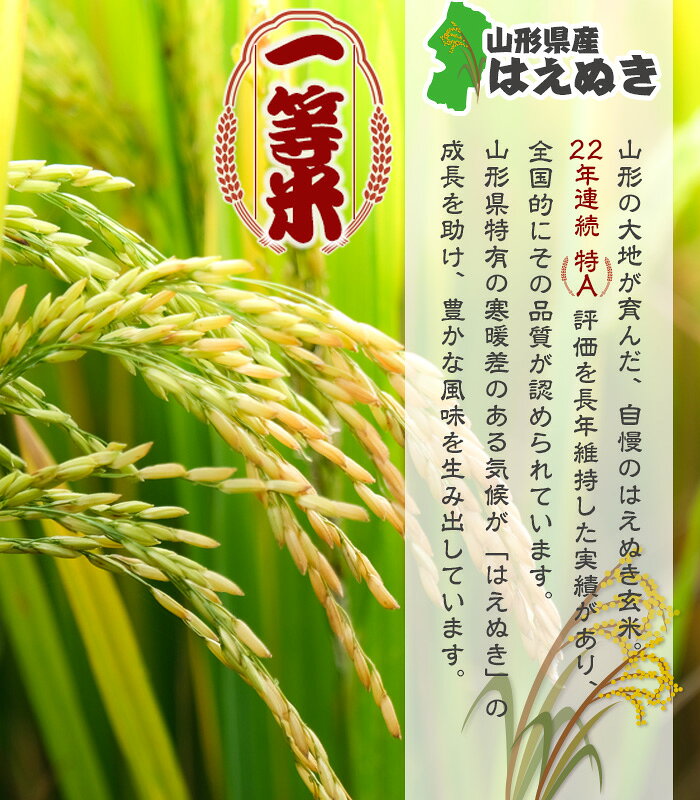 サンプル画像2