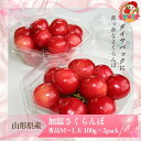 マラソン期間エントリーして中全商品ポイント10倍!さらに最大1000円offクーポン【予約】 早期割引価格 4月下旬から出荷 送料無料 山形産さくらんぼ「初もの...