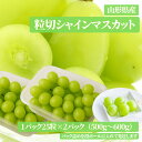 予約 送料無料 粒切 シャインマスカット 山形産 種なし大粒ぶどう 20~30粒 2パック入 400~450g パフェ・ジュース・お菓子作りに最適! 粒切だからそのまま食べられる!種無し ブドウ 山形 葡萄 ぶどう 産直 budo