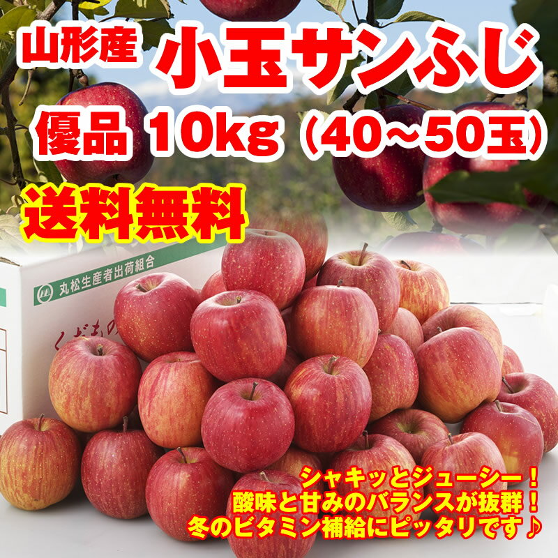 【5％200円OFF】【送料無料】【訳あり】小玉サンふじりんご優品10kg（40-50玉入）【山形県産】※小傷色ムラ変形あり 山形 りんご 林檎 サンふじ 楽ギフ_のし 楽ギフ_のし宛書 楽ギフ_メッセ入力