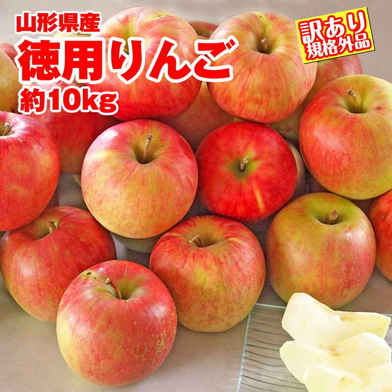 【予約】【送料無料】【訳有り】山形産徳用りんご　約10kg　サイズ・品種おまかせ　規格外品 小傷色ムラ変形等あり 山形 りんご 林檎 産直 自家用