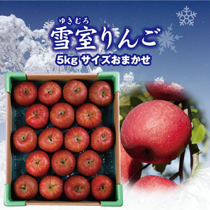 【予約】【送料無料】【数量限定】山形県産「雪室りんご」5kg（サイズおまかせ）お届けは3月上旬〜 山形 りんご 林檎 サンふじ 秀 ringo 産直 ご贈答 ギフト 雪室 楽ギフ_のし 楽ギフ_のし宛書 楽ギフ_メッセ入力