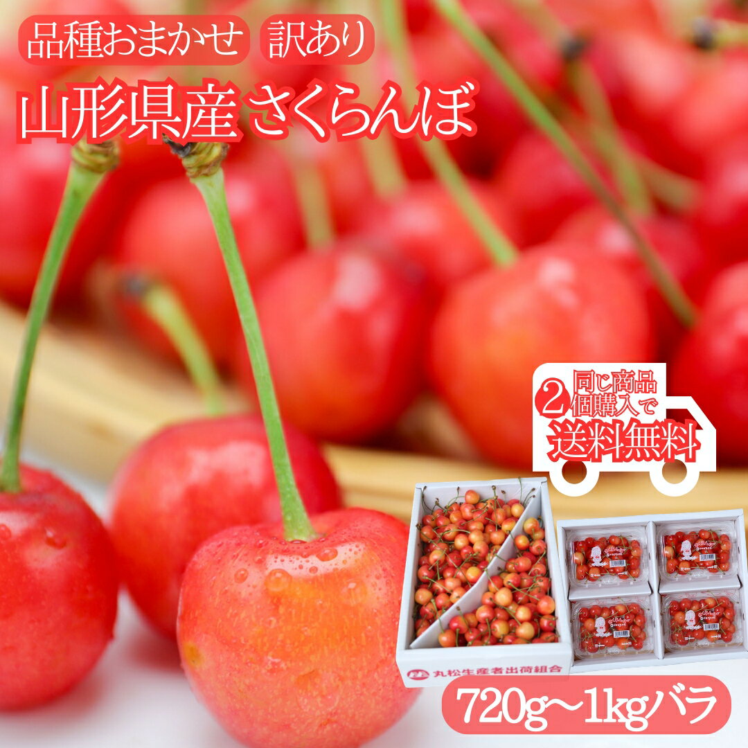 5月はずっとポイント�