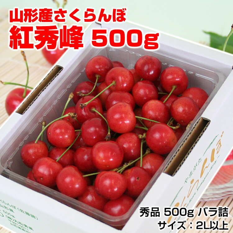 【予約】【送料無料】 山形産 さくらんぼ 紅秀峰 500g（500g×1）バラ詰2L 御中元 サクランボ 楽ギフ_のし 楽ギフ_の…