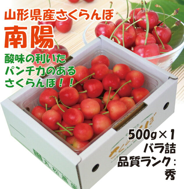 【予約】2026年6月～発送 ギフト 送料無料 山形産 さくらんぼ 南陽 500g（500g×1）バ ...