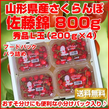 【クーポン利用で300円OFF】【予約】【送料無料】山形産 さくらんぼ 「佐藤錦」800g（200g×4P）バラ詰　秀品L玉【サクランボ】 楽ギフ_のし 楽ギフ_のし宛書 楽ギフ_メッセ入力