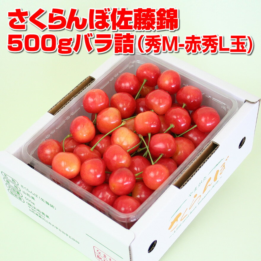  \    R`Y  uсv500g 500g~1P M`LʃopbNl R`  TN{ In Y ƒp