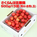 【予約】【送料無料】山形産 さくらんぼ 佐藤錦 500g 500g 1P M〜L玉バラパック詰 山形 佐藤錦 サクランボ 露地 産直 ご家庭用