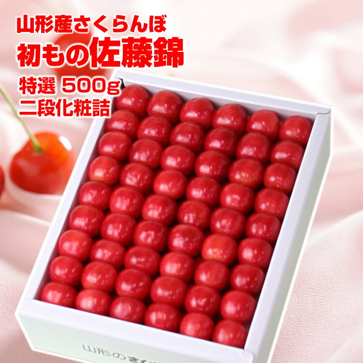 【予約】【ギフト】【送料無料】山形県産さくらんぼ「初もの佐藤錦」500g化粧詰め（2段詰）フリーメッセージ可能【サクランボ】楽ギフ_のし 楽ギフ_のし宛書 楽ギフ_メッセ入力