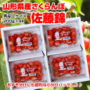 【予約】【送料無料】山形産 さくらんぼ 「佐藤錦」800g(200g×4P)バラ詰 秀品L玉【サクランボ】 楽ギフ_のし 楽ギフ_のし宛書 楽ギフ_メッセ入力