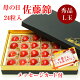 【期間限定300円OFF】【母の日】 【フリーメッセージ可】【送料無料】山形県産さくらんぼ「佐藤錦」チョコ箱詰め（L玉 24粒）黒化粧箱入り 母の日カード付 楽ギフ_のし 楽ギフ_のし宛書 楽ギフ_メ...