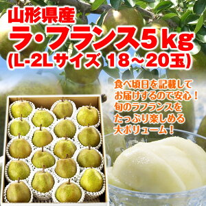 【送料無料】【ギフト】山形県産「ラ・フランス」たっぷりお徳用5kg（18-20玉） 山形 西洋梨 ラフランス ようなし younasi 産直 ご贈答 ギフト 楽ギフ_のし 楽ギフ_のし宛書 楽ギフ_メッセ入力