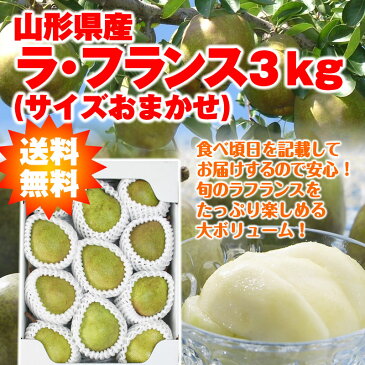 【予約】【ギフト】【送料無料】山形県産洋梨「ラ・フランス」3kg（サイズおまかせ） 山形 西洋梨 ラフランス ようなし younasi 産直 ご贈答 楽ギフ_のし 楽ギフ_のし宛書 楽ギフ_メッセ入力