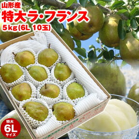 【ギフト】【送料無料】山形県産洋梨「ラ・フランス」特大5kg（10玉入）6Lサイズ 数量限定 山形 西洋梨 ラフランス ようなし 産直 ご贈答 山形セレクション認定 楽ギフ_のし 楽ギフ_のし宛書 楽ギフ_メッセ入力