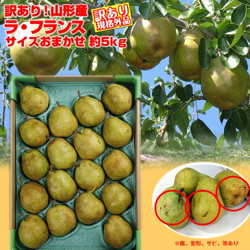 【送料無料】 訳有り 山形県産「ラ・フランス」約5kg（サイズおまかせ） 山形 西洋梨 ラフランス ようなし younasi 産直 自家用 訳有り