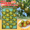 【送料無料】【数量限定】 訳有り 山形県産「西洋梨」約5kg（サイズ品種おまかせ） 山形 西洋梨 オ ...