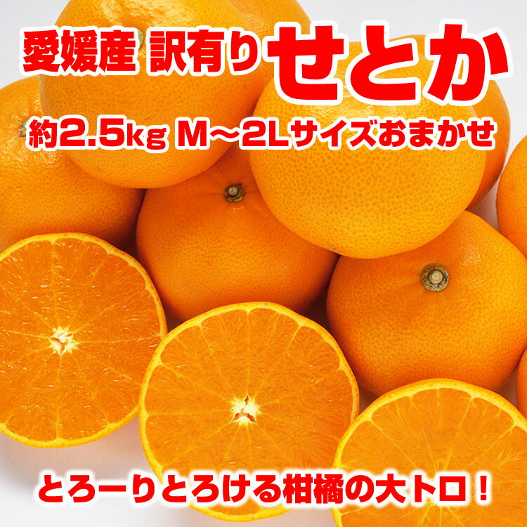 【送料無料】【訳有り】愛媛産 訳あり せとか 約2.5kg（サイズおまかせ）M〜2L混在 みかん オレンジ 楽ギフ_のし 楽ギフ_のし宛書 楽ギフ_メッセ入力のサムネイル