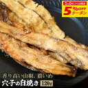 【5%OFFクーポン配布中】焼き穴子 あなご 120g 山椒 こんがり 焼きあなご ふんわり 手軽に割ける アナゴ やわらか 珍味 おつまみ メール便 送料無料 酒の肴 酒のあて ギフト お試し 酒のつまみ 家飲み 晩酌
