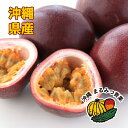 【送料無料】沖縄県産パッションフルーツ800～900g（8〜12個入り）【沖縄 沖縄県産 国産 パッ ...