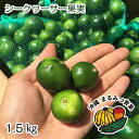 【送料無料】沖縄県産 青切りシークワーサー 果実　生　1.5kg【3kgお買い上げで500gオマケ】 ...