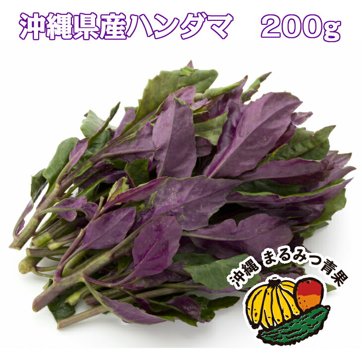 沖縄県産　ハンダマ（水前寺菜）　1束200g（クール便でお届け）【沖縄 野菜 金時草 和え物 ポリフェノール ベータカロテン アンチエイジング サラダ アントシアニン 天ぷら ビタミンA 国産野菜 鉄分 貧血 買い回り】