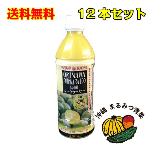 【送料無料】沖縄県産シークワーサー青切り果汁100% (500ml×12本)【沖縄 シークヮーサー シークワーサー シークァーサー 原液 スーパーフード ノビレチン クエン酸 抗酸化作用 ストレート果汁】【2月お買い物マラソン】