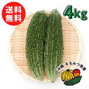 【送料無料】沖縄島野菜代表！ゴーヤー4kg　16〜21本　【ゴーヤチャンプルー 