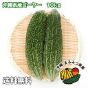 【送料無料】沖縄島野菜代表！ゴーヤー10kg　35〜44本　業務用　でお買い得！栄養満点!!ビタミンCたっぷり。チャンプルー、天ぷら、サラダ、グリーンスムージーにも！