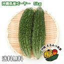 【送料無料】沖縄島野菜代表！ゴーヤー5kg　18〜22本　業務用　でお買い得！栄養満点!!ビタミンCたっぷり。チャンプルー、天ぷら、サラダ、グリーンスムージーにも！