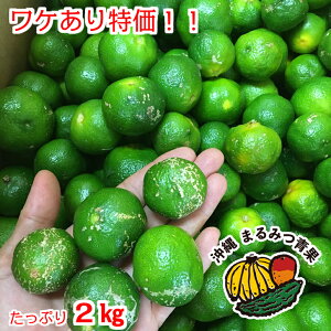 【送料無料】沖縄県産 訳あり青切りシークヮーサー2kg　【シークヮーサー シークァーサー　シークヮーサー果実　シークァーサー果実　シークワーサー 生 スーパーフード 国産 ノビレチン 訳あり 沖縄 沖縄産