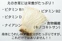 【送料無料】沖縄県産乾燥えのき50g　うまみ成分たっぷり！【ネコポス】【代引き不可】【沖縄 沖縄県産 えのき えのき茸 干しえのき えのき茶 味噌汁 炊き込みご飯 エノキタケリノール酸 食物繊維】【楽天市場ご愛顧感謝デー】 2