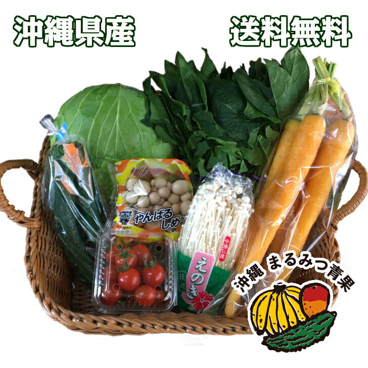 【送料無料】長寿の島沖縄から旬のお野菜と沖縄野菜のセット8〜9品【ゴーヤー 島らっきょう 青パパイヤ..