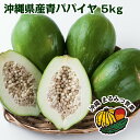 【送料無料】沖縄県産 訳あり 青パパイヤ 5kg(5～9個)【青パパイヤ スーパーフード 野菜 タイ ...