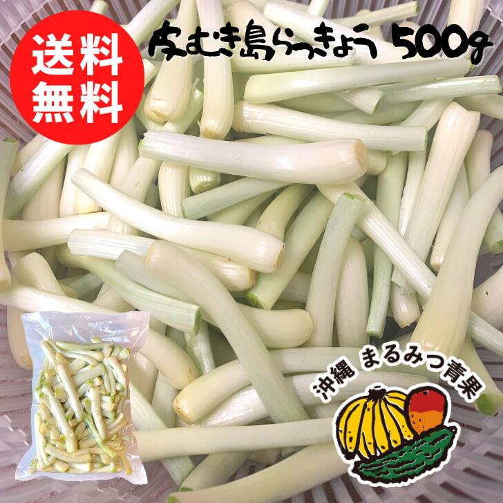 【送料無料】手間いらず！伊江島産 島らっきょう 皮むき 500g【島らっきょ ラッキョウ らっきょう 下処理 ビールのつ…