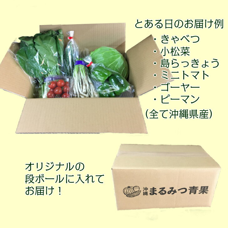 【送料無料】長寿の島沖縄から旬のお野菜と島野菜のセット8品