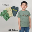 プティパ PTP11840-14m 恐竜プリントTシャツ キッズ ベビー トップス 半袖Tシャツ カットソー きょうりゅう 男の子 子供服 Petit pas 4022230 rexw f20ss