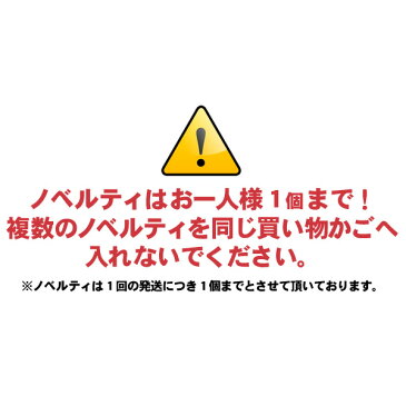 ノベルティプレゼント★CHUMSペーパー紙飛行機1点プレゼント