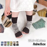 ڥ᡼زġۥϥ֥ܥå 4560434900KARABISA SOCKS/ӥå ǥ   Ĥ å  ӥ Habu Box 7003092SSK 21SU