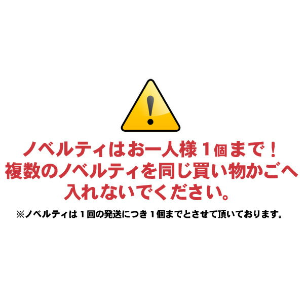 ノベルティプレゼント★チャムスオリジナルウォー...の紹介画像2