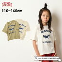 【60％OFF】マリンTシャツ キッズ ジュニア 半袖Tシャツ 半そで Tシャツ MARINE ペンギン ぺんぎん トップス 男の子 おとこのこ 女の子 おんなのこ 子ども こども 子供 ジーンズベーセカンド 4025303 830104-m16mm 【メール便可】 23SPS-k-t【SALEsaleセールバーゲン】