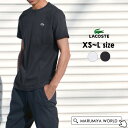 ラコステ ベーシッククルーTシャツ メンズ レディース シンプル 半袖tシャツ ロゴ ユニセックス LACOSTE 1000879 TH5582-99-mLmm  ppd20