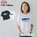 プレファラブリィTシャツ キッズ ジュニア トップス 半袖 くじら プリントTシャツ preferably TEE 男の子 女の子 子供服 JEANS-b 2nd ジーンズベーセカンド 4026346 840138-m16mm 【メール便可】