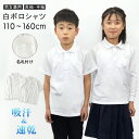 スクールポロシャツ 小学生 白 制服 通販 学生服 長袖 半袖 シャツ スクールシャツ 通学用 小学生 学校用 通販 安い 入学 買い替え 中学生 スクール シ...