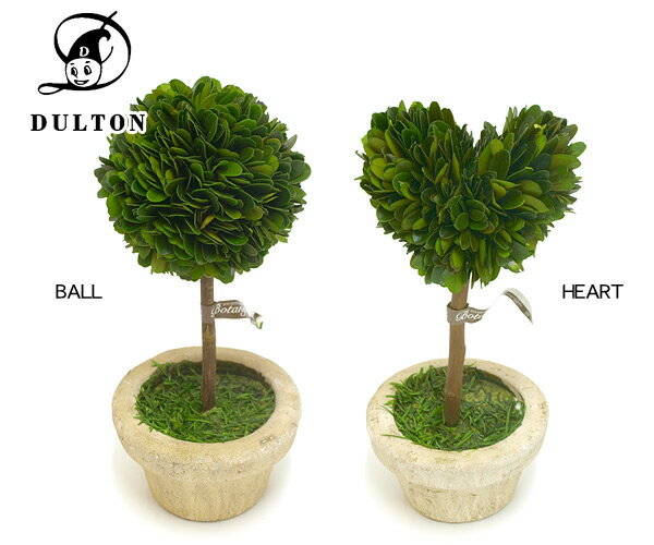 DULTON　Botany TOPIARY（SMALL） CH07-G296S_CH07-G297S レディース インテリア 雑貨 植物 植木 アーガス ダルトン 7003120 定番 母の日【zai0★】