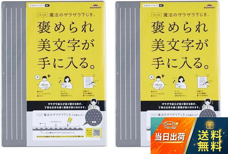 レイメイ藤井 下敷き 大人の魔法のザラザラ下じき A4サイズ グレー U1255N