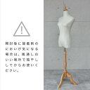 トルソー レディース 9号 マネキン 女性 パンツ対応 上半身 猫脚 木製スタンド 布張り アンティーク ディスプレイ ハーフボディ ドール