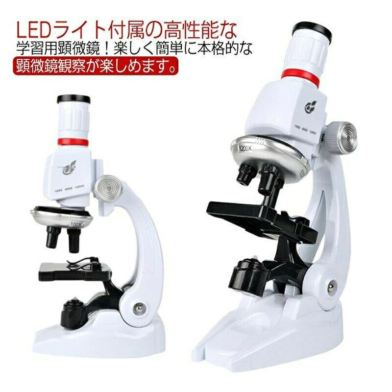 ͡¹Υץ쥼Ȥ˺Ŭ ؽ 1200x  ¸ ΰ ʪȿ͸ Ҷκʳؤؤζ̣Ƥ ޥ Ҷ...