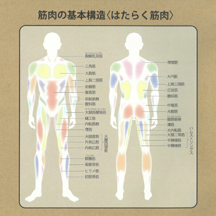 vit Fit ハンドグリップ 10キロ 10Kg 女性・ジュニア・握力の弱い方 向け ピンク トレーニング フィットネス 筋トレ 握力 パワーグリップ ハンドグリッパー 手 腕 手内筋郡 前腕筋群 キャプテンスタッグ CAPTAIN STAG パール金属【UR-0805】 marumoto-10053301 キッチン・生活雑貨の店 まるげん サンプル画像3